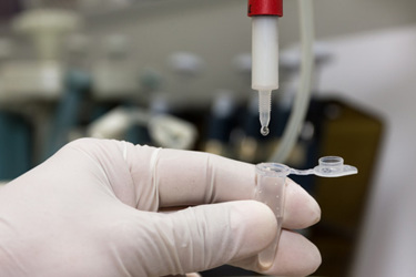 Test purity protein-GettyImages-495640552