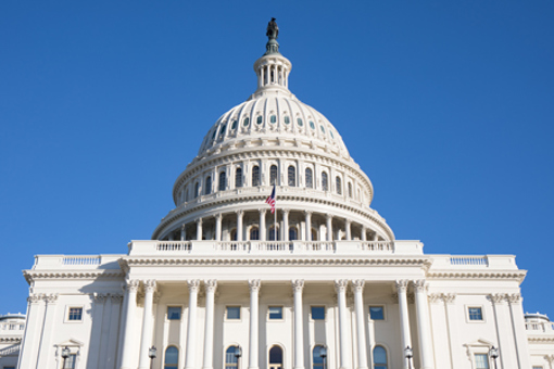 Capitol Building_DC_GettyImages-1302999611