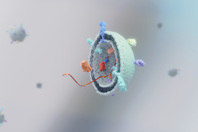 GettyImages-2009511436 3D illustration of small extracellular vesicles (exosomes)