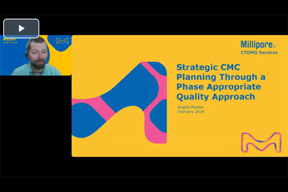 Strategic CMC Planning