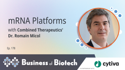 24_01_BoB_1280x720_Ep178