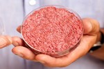 From Tiny Samples Of Animal Tissue Comes Lab-Grown Meat Lab-Grown Meat