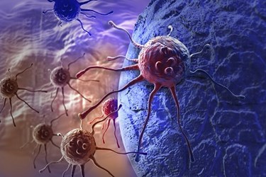 EMD Serono Enters Alliance To Develop Anti-Cancer Drugs