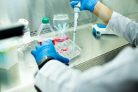 A Deep Dive Into QuickStart Media GettyImages-1459937763 cell culture lab
