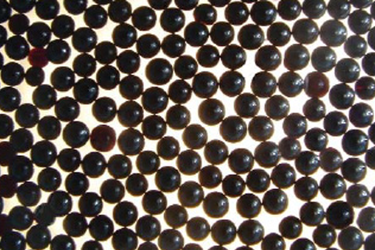 ASM10-app-note ASM10-app-note