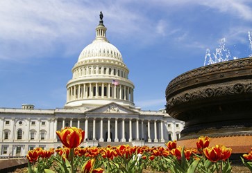 Epic EHR Lobbyist