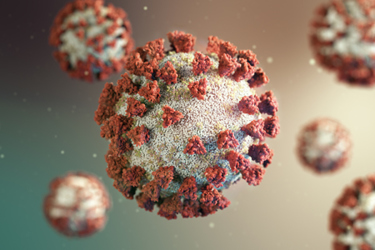 GettyImages-1216276174 virus