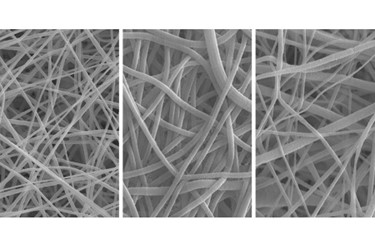 smith_gee-membrane 1 smith_gee-membrane 1