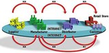 Supply Chain Applications Supply Chain Applications