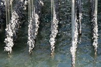 TasWater: Saving Oysters With Data