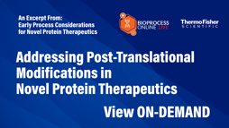 24_08_BPOL_1280x720_Seg04