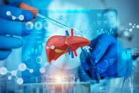 GettyImages-2280454860-scientist-liver-organ-research