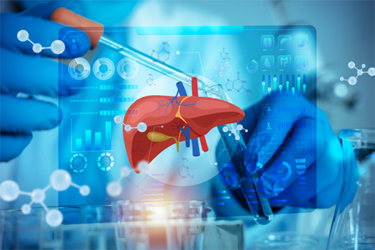 GettyImages-2280454860-scientist-liver-organ-research GettyImages-2280454860-scientist-liver-organ-research