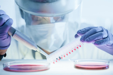 GettyImages-1213680755-scientist-gloves-assay-cell-culture