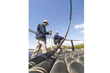 Cable+loading+250 Cable+loading+250