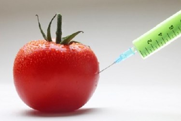 Feds May Say “No” To GMO Labeling