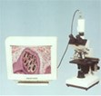 Video Microscope XSZ-107CCD Video Microscope XSZ-107CCD