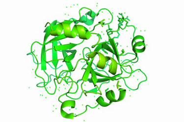 protein molecule-GettyImages-942384896