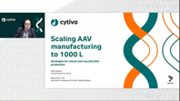 Scaling AAV Manufacturing To 1000 L: Strategies For Robust Production