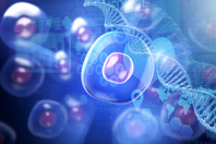 The Future Of Cell & Gene Therapy: Process Improvements, Tech, & Talent iStock-1159995989-cell-gene-map