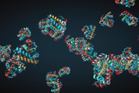 Comprehensive Workflow For The Quantification Of Peptides And Proteins GettyImages-1389723406 protein