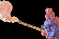 GettyImages-2232165715-oligonucleotide-render-3d