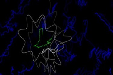 Trace of motions