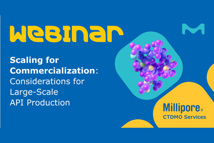 Scaling for Commercialization Considerations Large-Scale API Production Webinar_MilliporeSigma