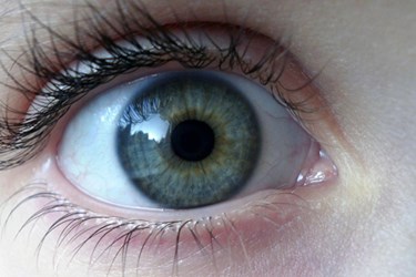 eye