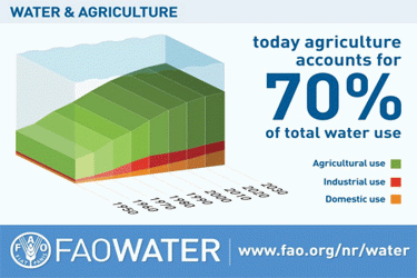 faowater-2 faowater-2