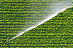 SmartIrrigation_XylemVue_WaterOnlineCT2026