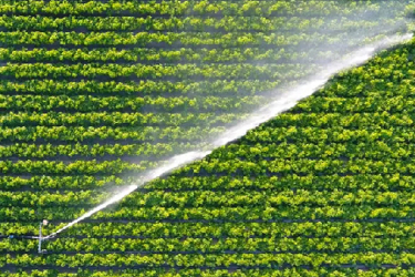 SmartIrrigation_XylemVue_WaterOnlineCT2026 SmartIrrigation_XylemVue_WaterOnlineCT2026