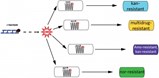 Multidrug_Resistance_diagram1.jpg Multidrug_Resistance_diagram1.jpg