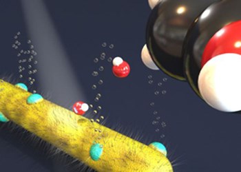 MolecularShuttle