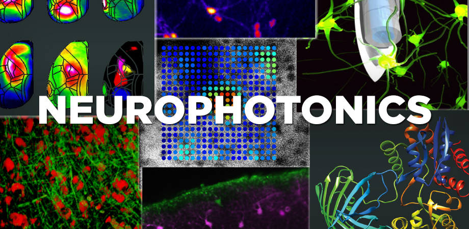 SPIE Journal Neurophotonics Publishes Extensive Status Report On Tools For Brain Science - Vimarsana News