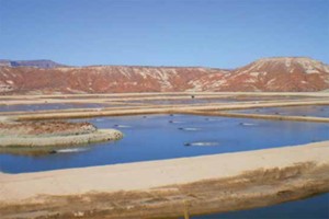 Implementation Scenario_Aquacorp_May2019-1