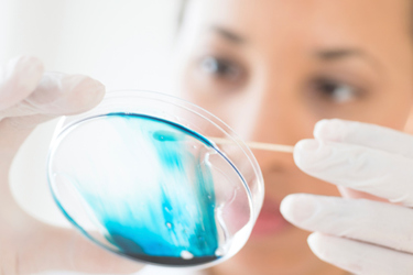 Can Cell Therapies Help Save Big Pharma From The Patent Cliff? Can Cell Therapies Help Save Big Pharma From The Patent Cliff?
