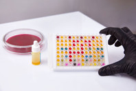 GettyImages-1335110311-t-cell-reagents-panel-testing-bacteria-samples-color