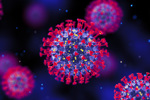 GettyImages-1455668983 Coronavirus cells