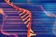 Interview-with-Scott-Merz