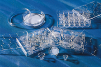 Transwell® Permeable Supports