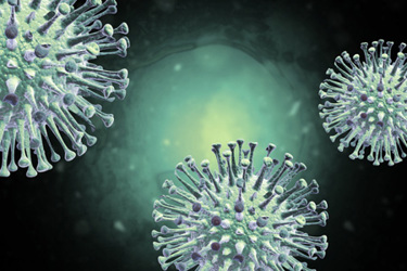GettyImages-1787595822-virus-viral-bacteria-cell GettyImages-1787595822-virus-viral-bacteria-cell