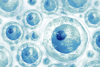 Cells iStock-999018482