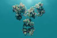 Antibody-GettyImages-956478432