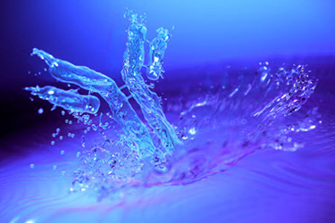 MilliporeSigma Water Antibody Feature #1