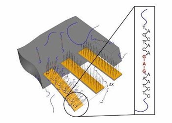 Nanotechnology Supports Treatment Of Malignant Melanoma Nanotechnology Supports Treatment Of Malignant Melanoma