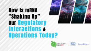 24_05_ARL_1280x720_Seg08