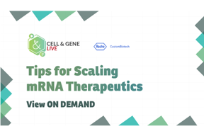 Cell - mRNA scaling24_09_cgl_1280x720_seg05 Cell - mRNA scaling24_09_cgl_1280x720_seg05