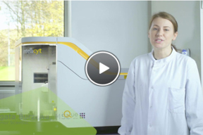 Biotherapy Characterization: Cell-Based Assays