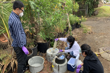 manoa-engineering-wastewater-sampling manoa-engineering-wastewater-sampling
